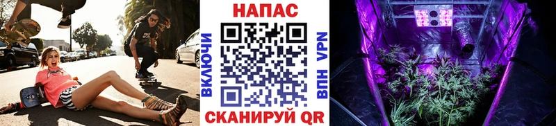 МАРИХУАНА THC 21%  купить  цена  Руза 